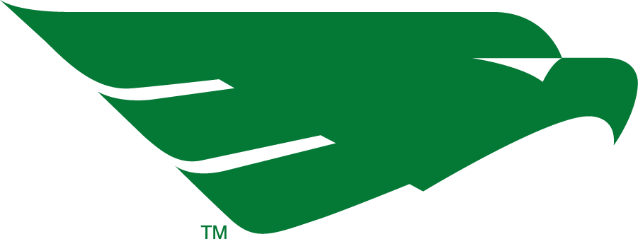North Texas Mean Green 2005-2011 Secondary Logo iron on transfers for clothing